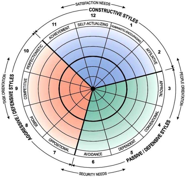 Leadership diagnostic circumplex visual